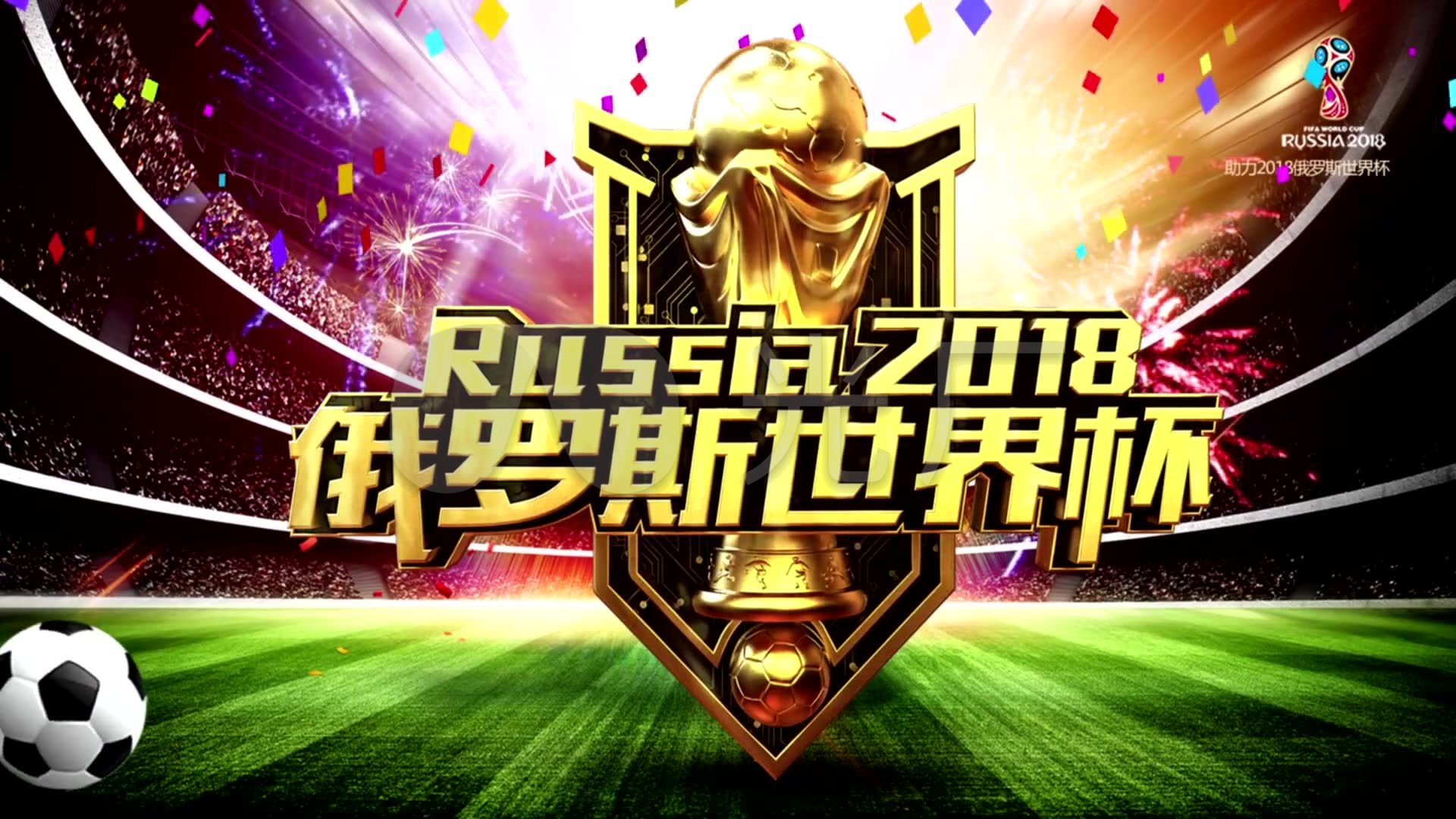 国内球